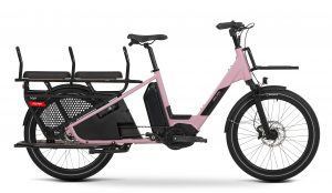 Douze Cycles