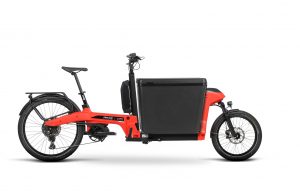 Douze Cycles